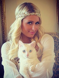 Fryzury Długie Fryzury gwiazd Kręcone Rozpuszczone Blond - 2023677