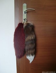 Moda Ciuchy Pozostałe - 1218551