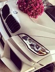 Misz-masz - 2585778