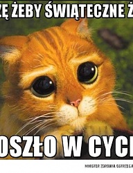 Humor - 2446558