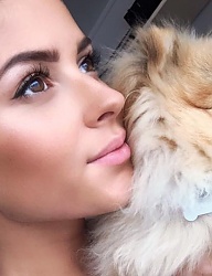 Zwierzaki Psy - 3107049