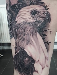 Tatuaże - 3230639