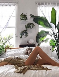 Misz-masz - 3231382