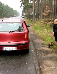Fryzury Średnie Na co dzień Proste Irokez damski - 20101