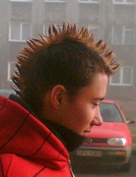 Fryzury Średnie Alternatywne Punk Rock - 18640
