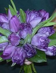 Moda Ślub Bukiety ślubne - 340382