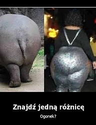 Humor - 2089373