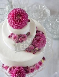 Moda Ślub Ślubne akcesoria - 1155674