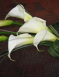Moda Ślub Bukiety ślubne - 550036