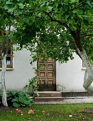 Ogród - 2117990