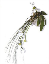 Moda Ślub Bukiety ślubne - 273547