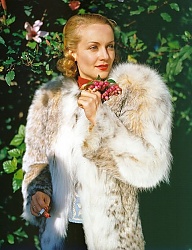 Moda Okrycia Pozostałe - 2156400