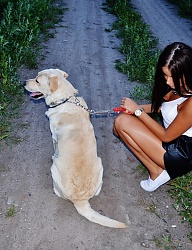 Misz-masz - 2745844
