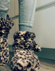 Moda Buty Pozostałe - 2898935