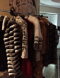 Moda Okrycia Pozostałe - 2855836