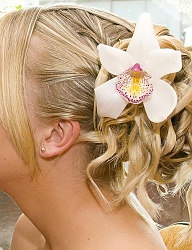 Fryzury Długie Ślubne Proste Rozpuszczone Blond - 1262239