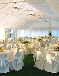 Moda Ślub Dekoracje ślubne - 238765