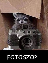 Humor - 2664549