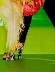 Moda Buty Sandały - 1250134