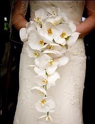Moda Ślub Bukiety ślubne - 388159