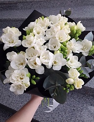 Misz-masz - 3261292