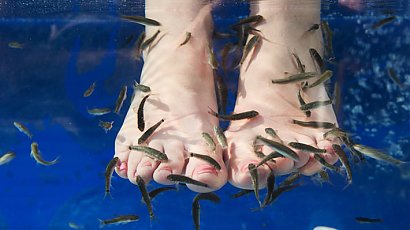 Fish pedicure-  Garra Rufa to gatunek maleńkich rybek, które delikatnie skubią nasze stopy,pozbywając je jednocześnie martwego naskórka. Zabieg ten zyskał ogromną popularność  na całym świecie.