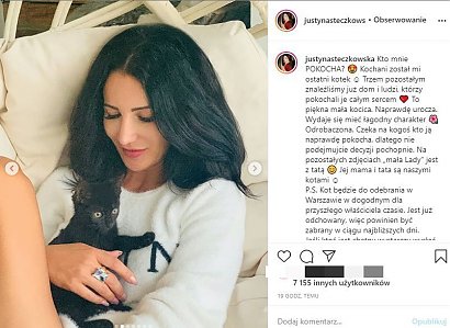 Justyna Steczkowska ogłosiła, że rozmnożyła swoje koty...