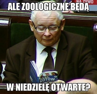 Warto zauważyć, że Jarosław Kaczyński, który na co dzień mieszka na warszawskim Żoliborzu w połówce bliźniaka z ogródkiem, znany jest za swojej wyjątkowej sympatii do zwierząt,
