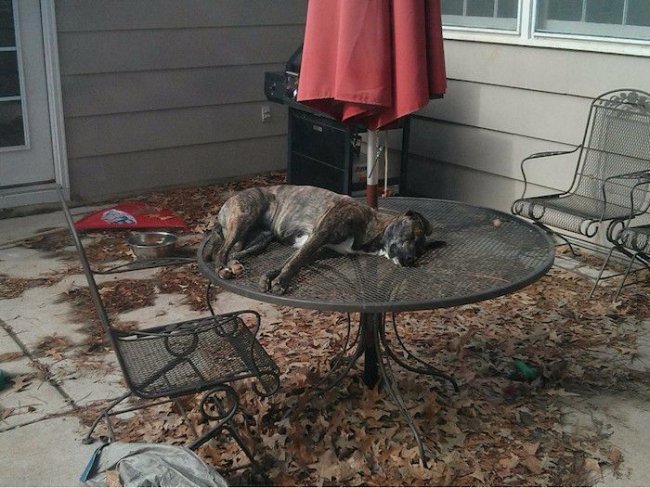 Smieszne Komedie Ktore Rozbawia Cie Do Lez styl.fm